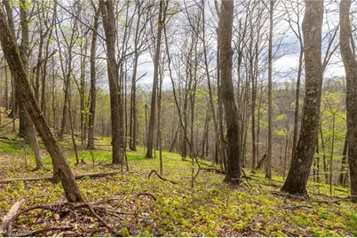 2115 Goss Fork Rd #1, Whipple, OH 45788 - Photo 36
