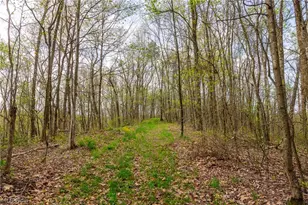 2115 Goss Fork Rd, Whipple, OH 45788 - Photo 28