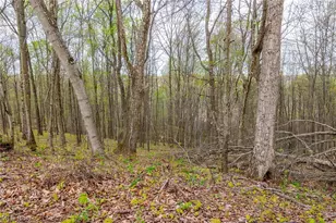 2115 Goss Fork Rd, Whipple, OH 45788 - Photo 30