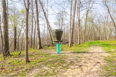 2115 Goss Fork Rd #1, Whipple, OH 45788 - Photo 20