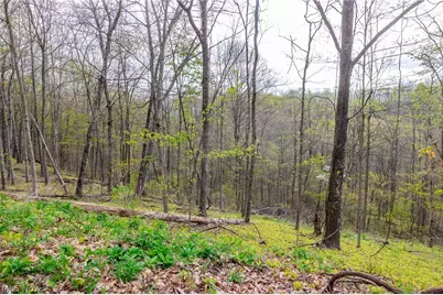 2115 Goss Fork Rd #1, Whipple, OH 45788 - Photo 32