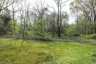 6425 Wall St, Ravenna, OH 44266 - Photo 10
