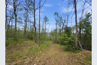 59674 Yoker Valley Road, Quaker City, OH 43773 - Photo 46