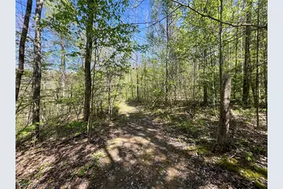 49250 Cowgill Road, Sarahsville, OH 43779 - Photo 28