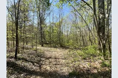 49250 Cowgill Road, Sarahsville, OH 43779 - Photo 30