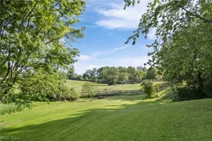 10031 Sanford Rd, Lodi, OH 44254 - Photo 10