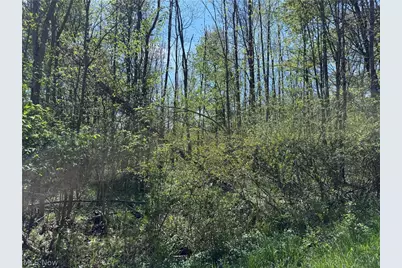 11664 Chestnutdale Road, Chardon, OH 44024 - Photo 6