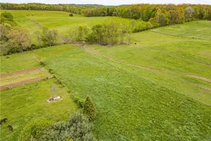 12967 Pleasant Valley Rd, Utica, OH 43080 - Photo 6