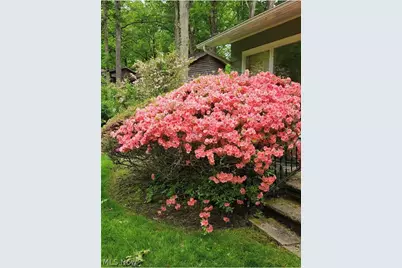 3219 Cannon Road, Twinsburg, OH 44087 - Photo 26