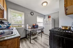 955 Nye Rd, Loveland, OH 44110 - Photo 10