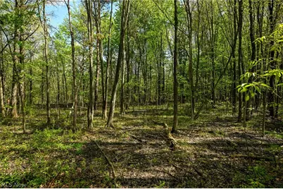 Oyster Road, North Benton, OH 44449 - Photo 20