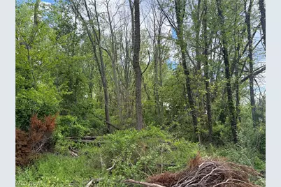 V/L Trenton Road, Akron, OH 44312 - Photo 2