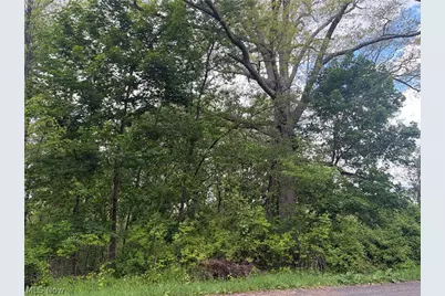 V/L Trenton Road, Akron, OH 44312 - Photo 1
