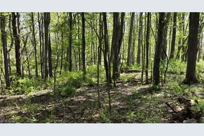 1166 County Road 2075, Ashland, OH 44805 - Photo 2