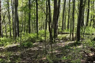 1166 Co Rd 2075, Ashland, OH 44805 - Photo 2