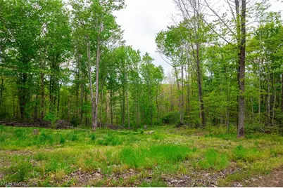 37795 Sheep Skin Ridge, Lower Salem, OH 45745 - Photo 26