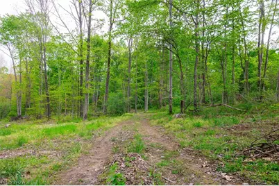 37795 Sheep Skin Ridge, Lower Salem, OH 45745 - Photo 28