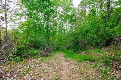 37795 Sheep Skin Ridge, Lower Salem, OH 45745 - Photo 18
