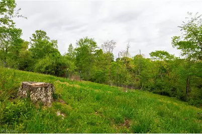 37795 Sheep Skin Ridge, Lower Salem, OH 45745 - Photo 16