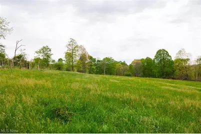 37795 Sheep Skin Ridge, Lower Salem, OH 45745 - Photo 16