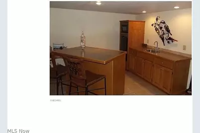 1120 W Milton Street, Alliance, OH 44601 - Photo 16