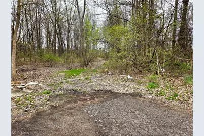 Vl Ridgewood Street, Lorain, OH 44055 - Photo 2