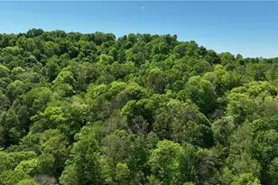 8261 Glendale Rd, Cairo, WV 26337 - Photo 10