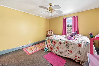 15 S Portland Avenue, Youngstown, OH 44509 - Photo 24