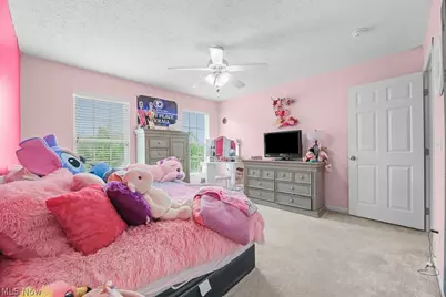 432 52nd Street NW, Canton, OH 44709 - Photo 24