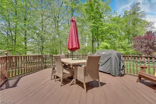 1173 Dover Dr, Medina, OH 44256 - Photo 36