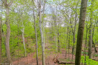 6811 Drexel Drive, Green Hills, OH 44131 - Photo 48