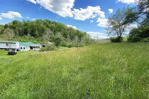 2174 Middle Fork Rd, Reedy, WV 25270 - Photo 50