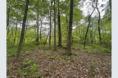 Wesley Chapel, Mount Perry, OH 43760 - Photo 14
