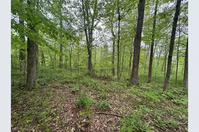 Wesley Chapel, Mount Perry, OH 43760 - Photo 6