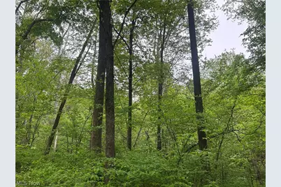 Wesley Chapel, Mount Perry, OH 43760 - Photo 2