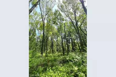 Bates Road, Madison, OH 44057 - Photo 6