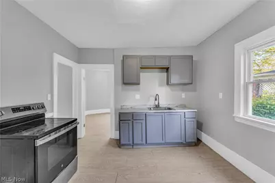 3429 Martin Luther King Jr Drive, Loveland, OH 44104 - Photo 6