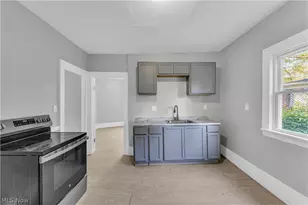 3429 Martin Luther King Jr Dr, Loveland, OH 44104 - Photo 6