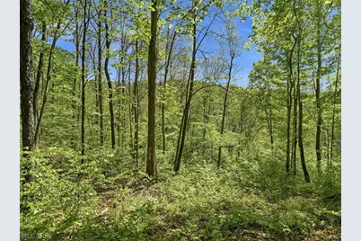 0 Pratts Run Road, Clarington, OH 43793 - Photo 16