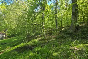 10660 Black Run Rd, Frazeysburg, OH 43822 - Photo 32