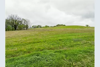Timmerman Road, Bowerston, OH 44695 - Photo 8
