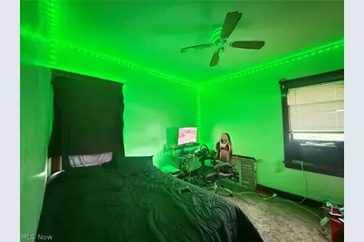 10014 Almira Avenue, Loveland, OH 44111 - Photo 20