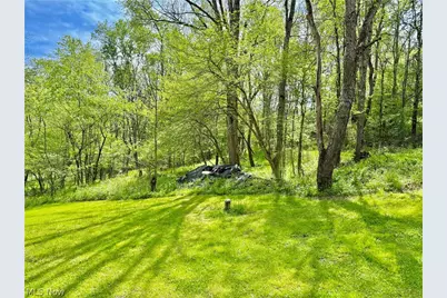 11811 Gaston Road, Negley, OH 44441 - Photo 10
