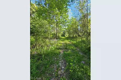 8280 Township Road 263, Bergholz, OH 43908 - Photo 16