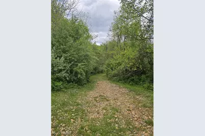 8280 Township Road 263, Bergholz, OH 43908 - Photo 2