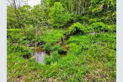 8570 County Road 39, Bloomingdale, OH 43910 - Photo 34