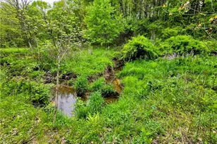 8570 Co Rd 39, Bloomingdale, OH 43910 - Photo 34