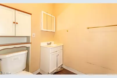 10401 Olivet Avenue, Loveland, OH 44108 - Photo 14