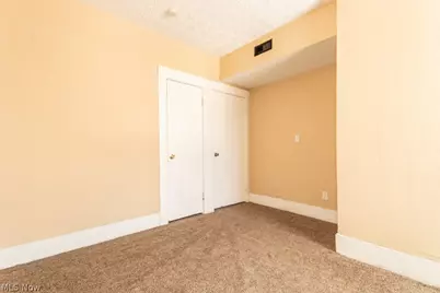 10401 Olivet Avenue, Loveland, OH 44108 - Photo 20