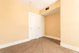 10401 Olivet Ave, Loveland, OH 44108 - Photo 20